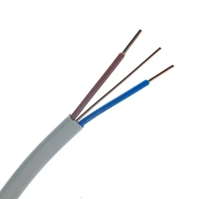 Image of Zexum Grey 2.5mm 24A Twin &amp; Earth (T&amp;E) Flat PVC Lighting Power Cable 10 Meter