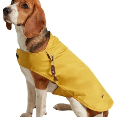 Image of Rosewood Joules Antique Gold Raincoat For Dogs, Small