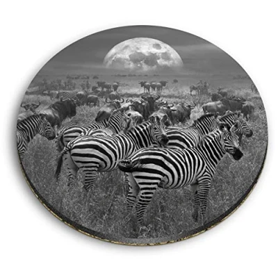 Image of 1 x Round MDF Magnet Wild Zebra Herd Africa Safari Animals 43799