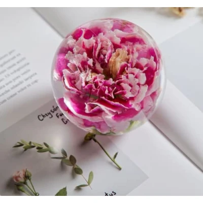 Image of Zhyx Carnation Flower Paperweight Crystal Wishing Ball the Unique is Perfect Gift for Family, Friends, Couples and Children (7 cm Diameter)