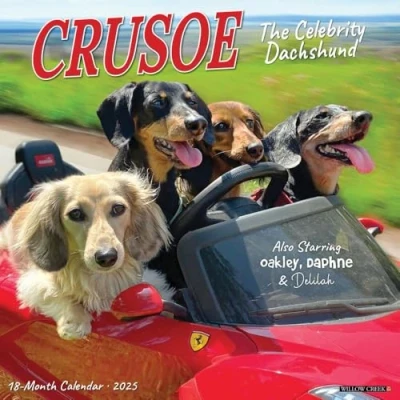 Image of Crusoe the Celebrity Dachshund 2025 Wall
