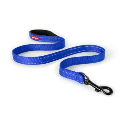 Image of EzyDog Essential Lead Training Lead, Small Dogs, Medium Large Sturdy Dog Comfortable Padded Handle, Reflective Thread, 1.2M (Blue)