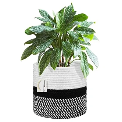 Image of NATTHSWE Plant Basket With Liner, Indoor Woven Pots for 9&quot; Planter Flower Cotton Rope Jute Pot Decoration Foldable Laundry Household Storage