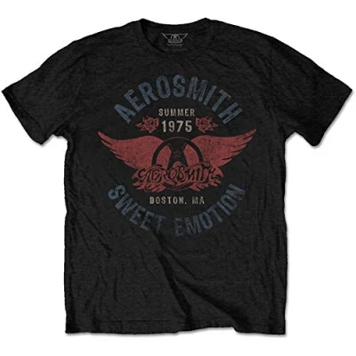 Image of Aerosmith AEROTS02MB01 T Shirt, Black, Small