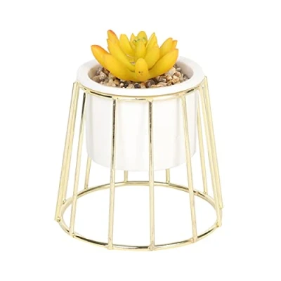 Image of Sleepdown Halo Ochre Succulent Artificial Faux Plant Gold Cage Stand for Home Office Bathroom Decor Indoor Decoration Aesthetics, Small