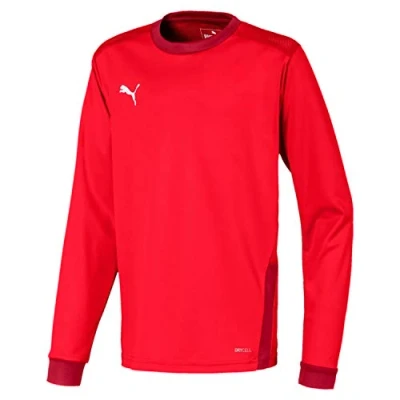 Image of PUMA teamGOAL 23 Jersey LS jr