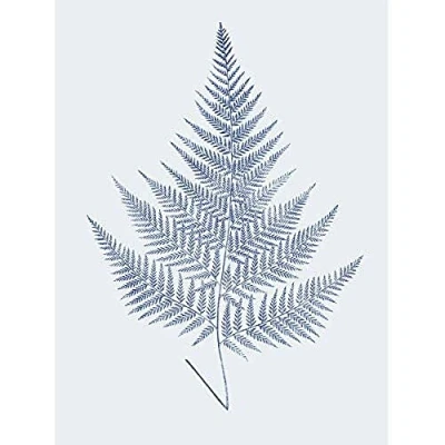 Image of Wee Blue Coo Cobalt Fern Biodiversity Unframed Wall Art Print Poster Home Decor Premium