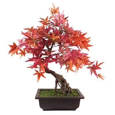 Image of Leaf Artificial Tree, Red Maple Bonsai, 50cm