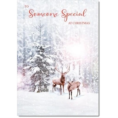 Image of doodlecards Someone Special Christmas Card Deers in Forest Medium Size for with Plain Envelope