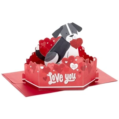 Image of Hallmark Paper Wonder Pop Up Anniversary Card with Sound and Motion (Dog) for Romantic Birthday, Mother&#039;s Day, Father&#039;s Love, Valentine&#039;s Day
