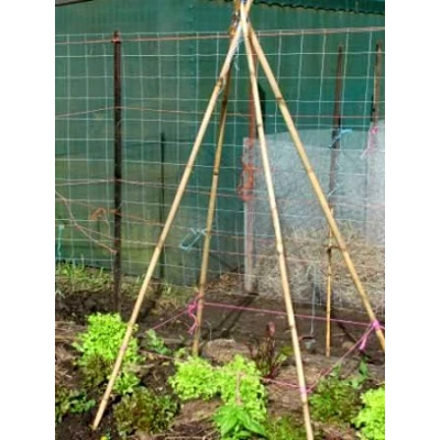 Image of Garden Mile Mesh Netting Bird Fruit Fencing, Pest Protection with Bamboo Frame for Fruiting Plants Ponds keep Animals off Trees (10 x Canes 150cm)
