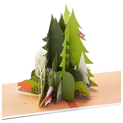 Image of Hallmark Pop Up Birthday Card for Him (Adventure Awaits) Signature Paper Wonder 3D