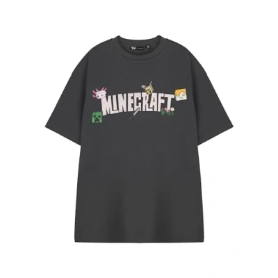 Image of Minecraft Women&#039;s Grey Graphic Tee Classic Game Crew Neck Top Characters Pull On T Shirt for Casual Wear