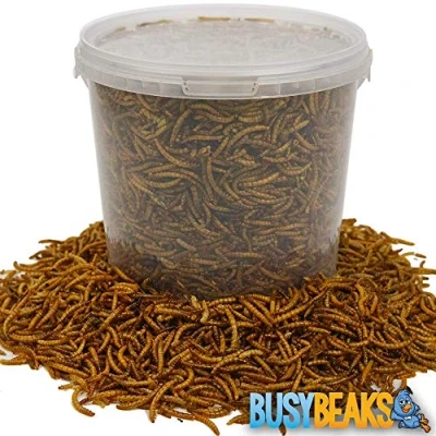 Image of BusyBeaks Dried Mealworms Premium Garden Wild Bird Food Mix Balanced Formula Protein Rich, Great Source of Energy Contains Beneficial Mixed Vitamins Large Variety (10L)