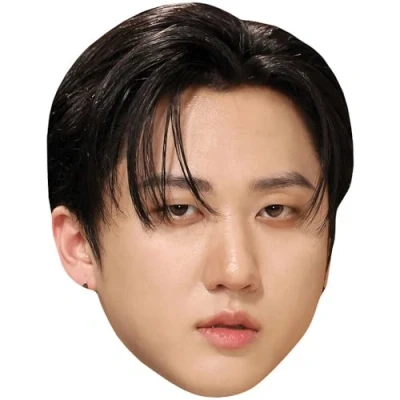 Image of Changbin (Black Hair) Celebrity Mask, Flat Card Face, Fancy Dress Mask