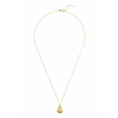 Image of LATELITA Scallop Shell Pendant Necklace 18ct Gold Plated Sterling Silver Nature Inspired