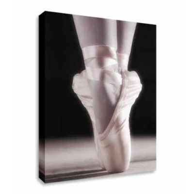 Image of Ballet Ballerina Shoes Art Wall Picture Canvas Cheap Print 12x16 inches