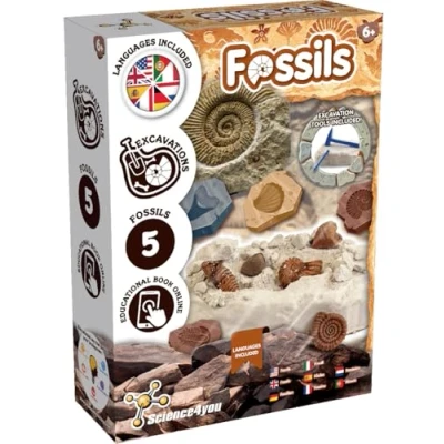 Image of Science4you Fossil Dig Kit for Kids Learn about Fossils &amp; Paleontology with this Excavation Kit, Discover All the Incredible Fossils, A Gift Girls Boys Age 6 7 8 9+