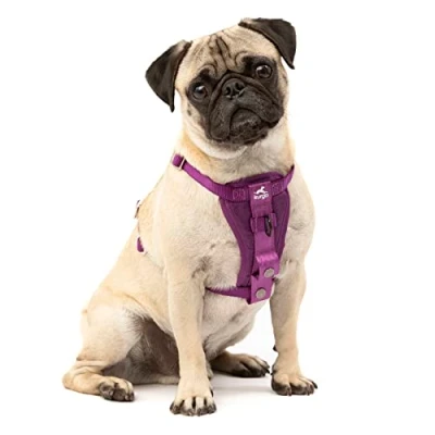 Image of Enhanced Strenght Tru Fit Smart Harness, Purple, Extra Small