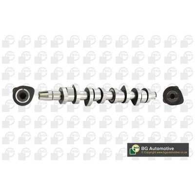 Image of 038109101AH, 38109101AH Camshaft BGA CS9503 Exhaust Side, Intake Side VOLKSWAGEN: Golf 5, Transporter Touran I, AUDI: A4 B7 Avant