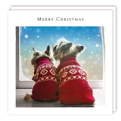 Image of Tracks Publishing Charity Christmas Cards Terrier Dogs in Jumpers Eco Friendly Pack of 5