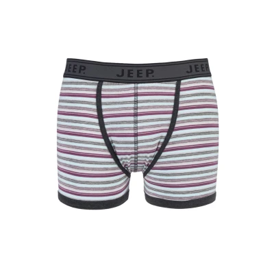 Image of 1 Pack Grey Spirit Cotton Multi Stripe Trunks In Men&#039;s Extra Large Jeep