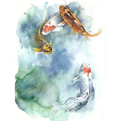 Image of Wee Blue Coo Japanese Koi Fish Pond Art Print Poster Wall Decor 12X16 Inch