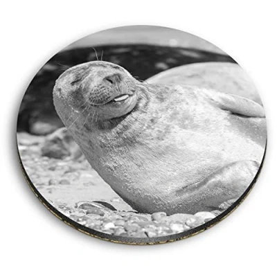 Image of 1 x Round MDF Magnet Cute Grey Seal Pup Sunbathing 39444