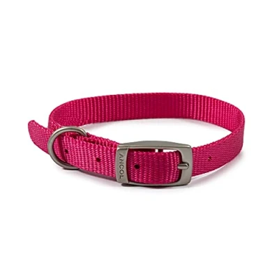 Image of Ancol Viva Lightweight Buckle Collar Pink, Size 2 to fit 26 31 cm Weather Proof