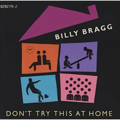 Image of Billy Bragg Don&#039;t Try This At Home Autographed 1991 UK CD album 828279 2