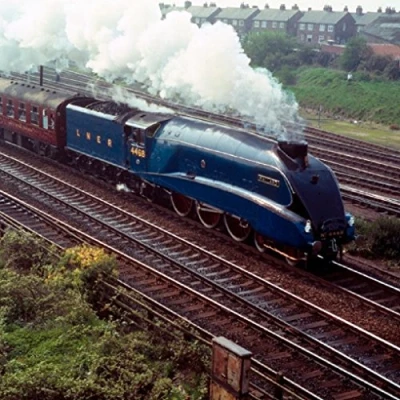 Image of Mallard Train Greeting Sound Card by Really Wild