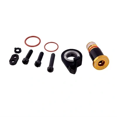 Image of Sram Spare Rear Derailleur B Bolt And Limit Screw Kit Xx1 Eagle Gold Hex5: