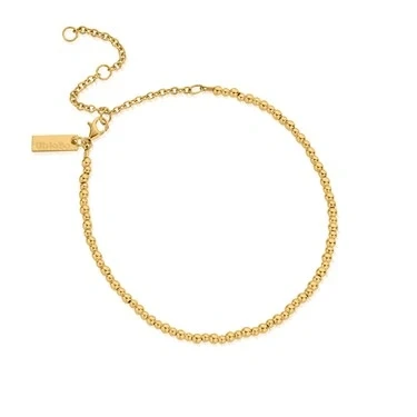 Image of ChloBo Gold Mini Cute Anklet GANMC