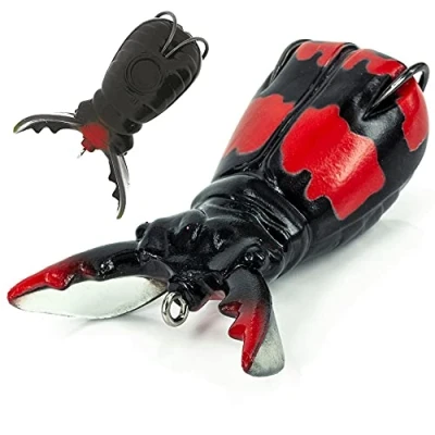 Image of Molix Superborn Beetle with Balck Red Stripes