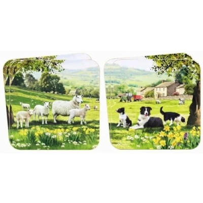 Image of Border Collie and Sheep Set Of 4 Coasters