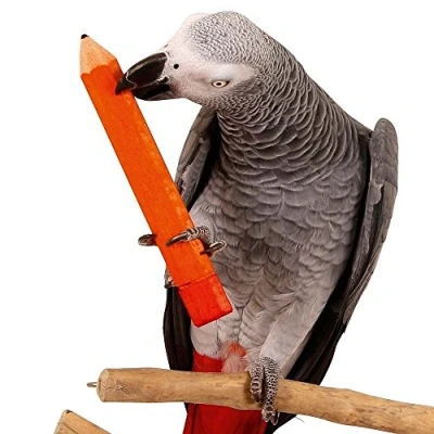 Image of Parrot Pencil Foot Toy Large