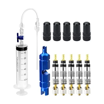 Image of QWORK® Bicycle Tubeless Tire Sealant Injector Syringe Kit, Bike Tyre Repair With Valve Core Removal Tool, And Cap