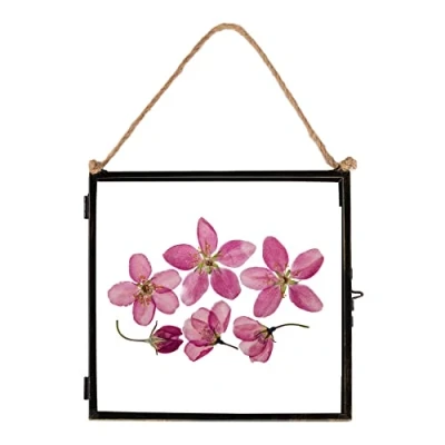 Image of 8&quot; x Black Hanging Metal Photo Frame By Nicola Spring
