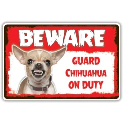 Image of SitrMGH Beware Guard Chihuahua Dog On Duty Novelty Aluminum Metal Sign 8x12 inch