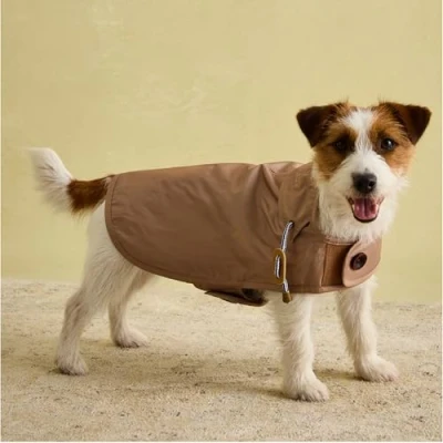 Image of Rosewood Joules Burra Brown Raincoat for Dogs, Small, Washable, Lightweight, Rain/Water Resistant Dog Coat Small Dogs