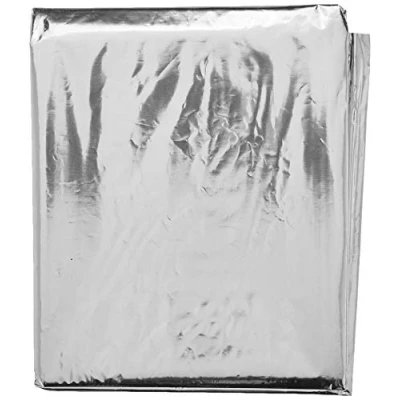 Image of Maximex Insulating Protection Set of 2 for Optimum Room Climate Plastic (PET), 90 x 220 cm, Silver