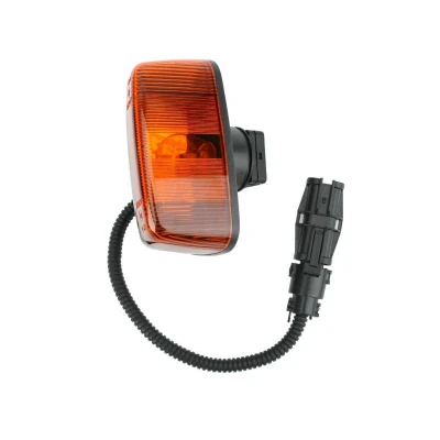 Image of 81253206102 Turn Signal DT Spare Parts 3.31171 both sides P21W 24V MAN: TGM