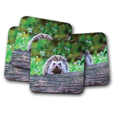 Image of 4 Set Cheeky Hedgehog Coaster British Wildlife Garden Cute Funny #14322