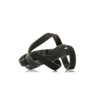 Image of 5750R2, 5750YZ V ribbed belt SKF VKMV 6PK1600 1600mm 6 VAUXHALL: COMBO Mk2, Meriva Mk1, Corsa OPEL: A, C Hatchback