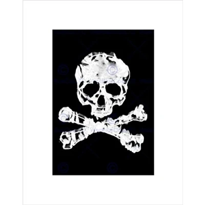 Image of Wee Blue Coo Jolly Roger Flag Plague Ship Pirate Skull Crossbones Wall Art Print