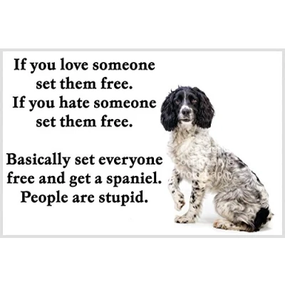 Image of Springer Sprocker Spaniel Funny Fridge Magnet. Ideal Christmas or Birthday gift