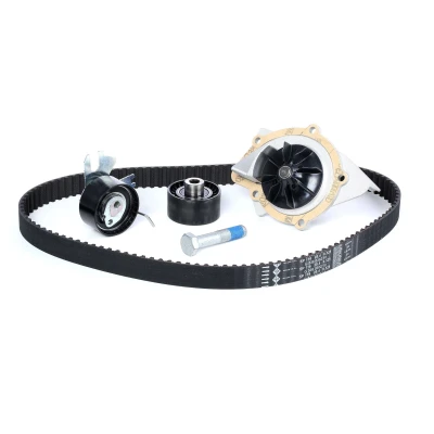Image of 30725665, 30725831, 30788221, 8653650, 8653651 water pump + Timing Belt Kit INA 530 0449 30 with 25,4mm FORD: KUGA 1, Galaxy Mk2 MPV