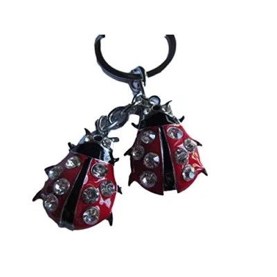 Image of Fat catz copy Red ladybird No:2 insect diamonte detailing keyring gift idea