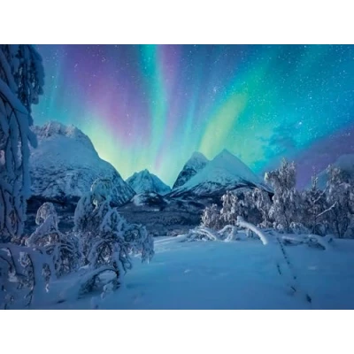 Image of Ravensburger 12000802 The Arctic Show 1500 pieces jigsaw Puzzle for adults and kids age 14 years up, nature puzzle, landscape