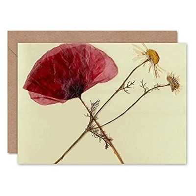 Image of Fine Art Prints Dried Poppy Daisy flower Greeting Card With Envelope Inside Premium Quality